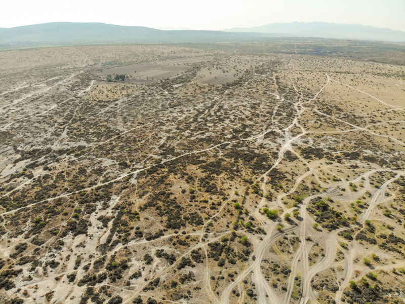 Rancho Viejo Image