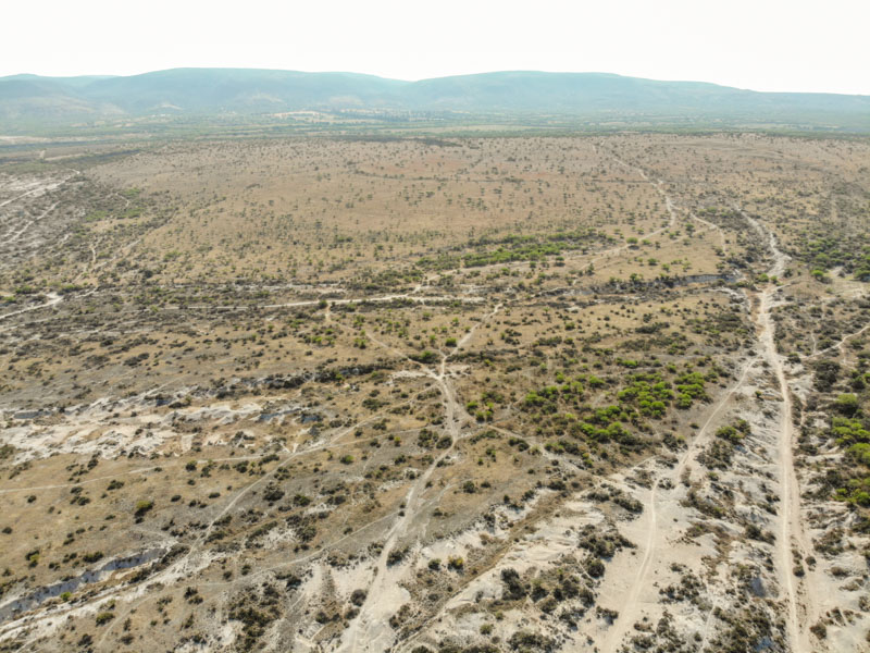 Rancho Viejo Image