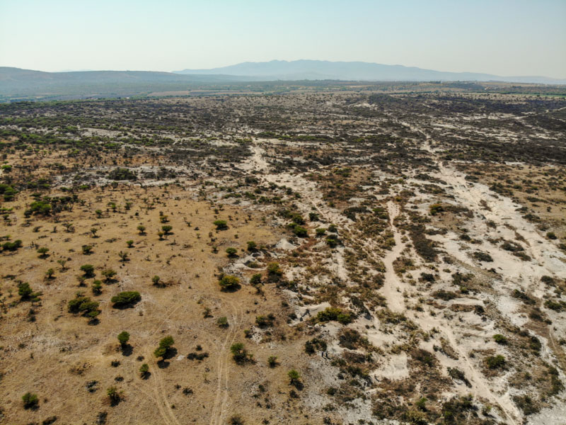 Rancho Viejo Image