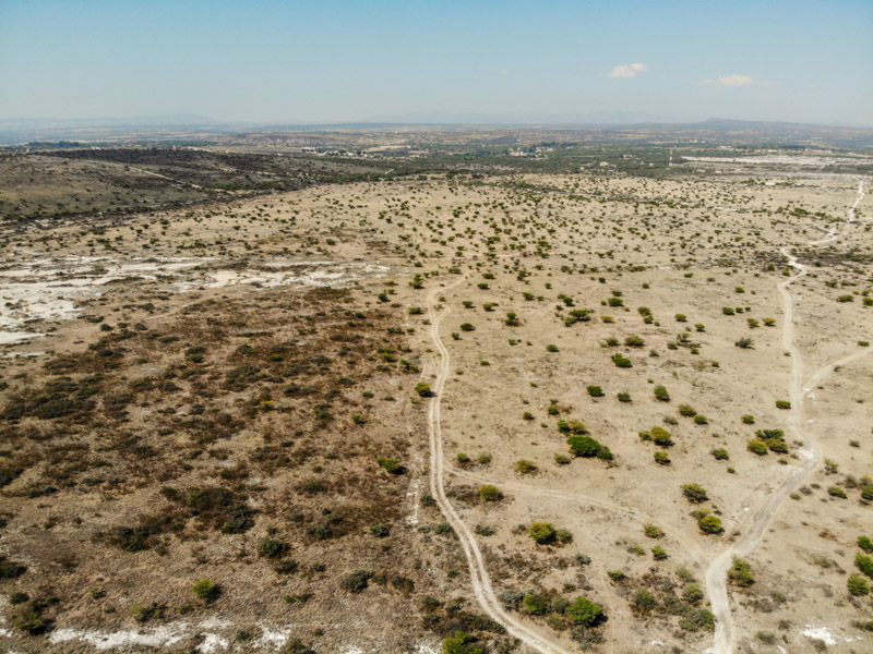 Rancho Viejo Image