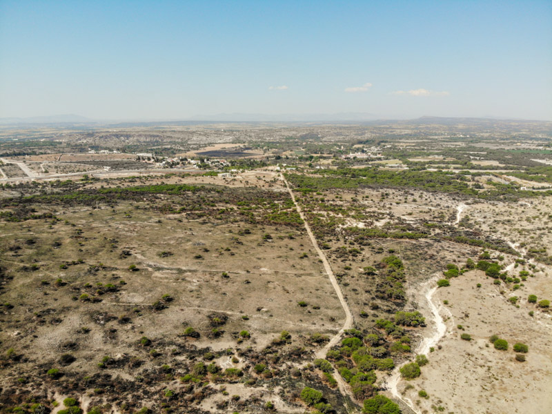 Rancho Viejo Image
