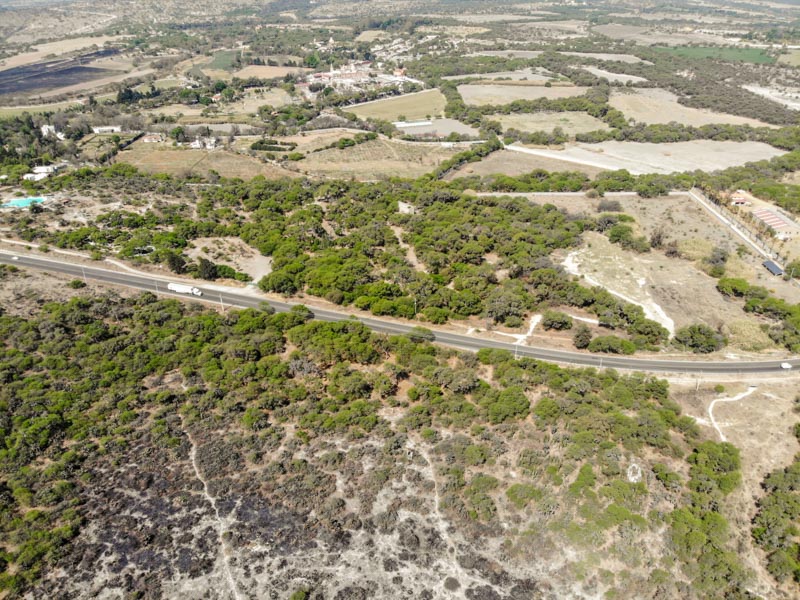 Rancho Viejo Image