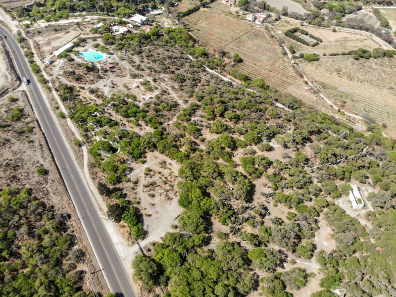 Rancho Viejo Image