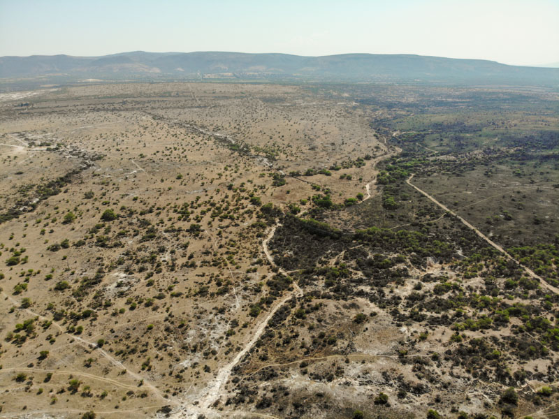 Rancho Viejo Image