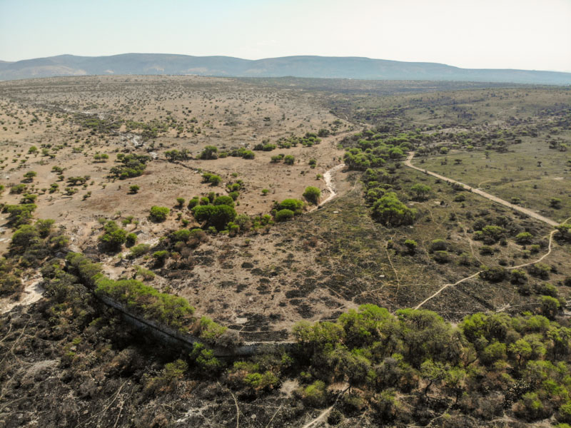 Rancho Viejo Image