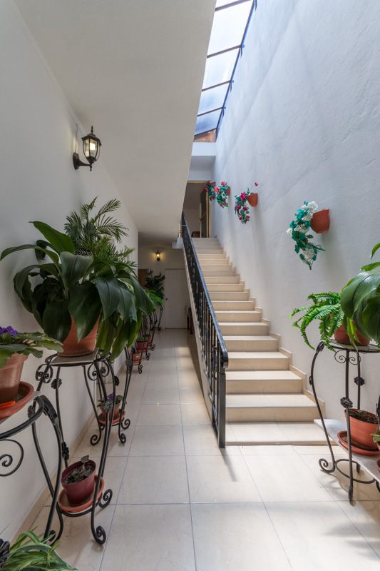 Casa Guadalupe Image