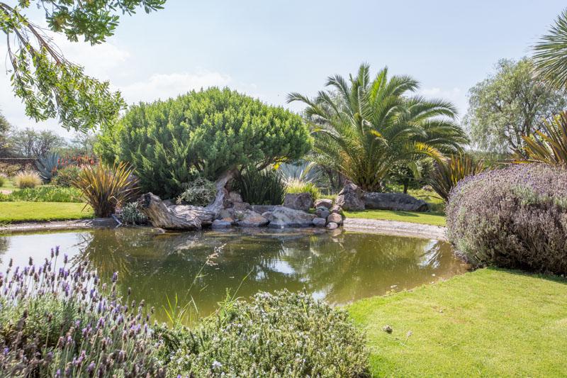 Villa Primavera Image