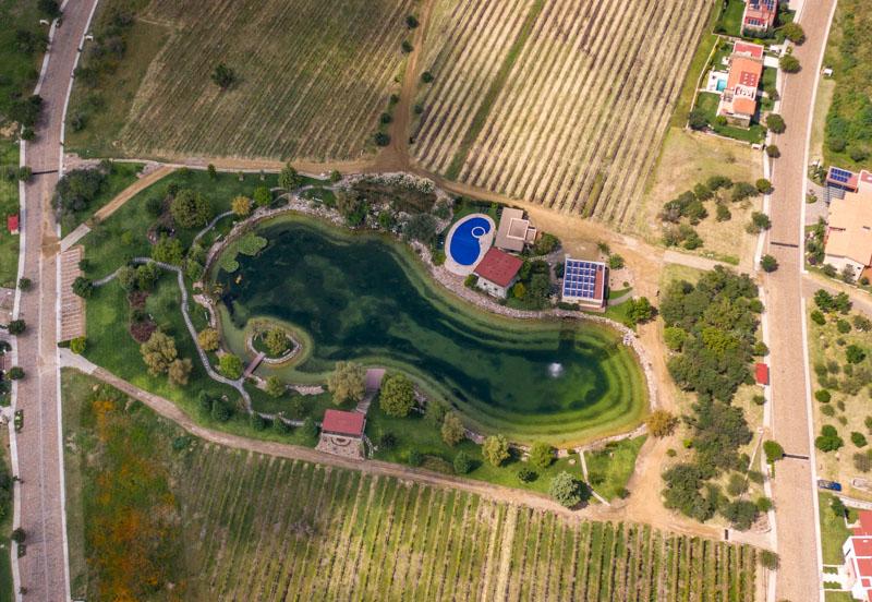 Lot 5 Malbec Image