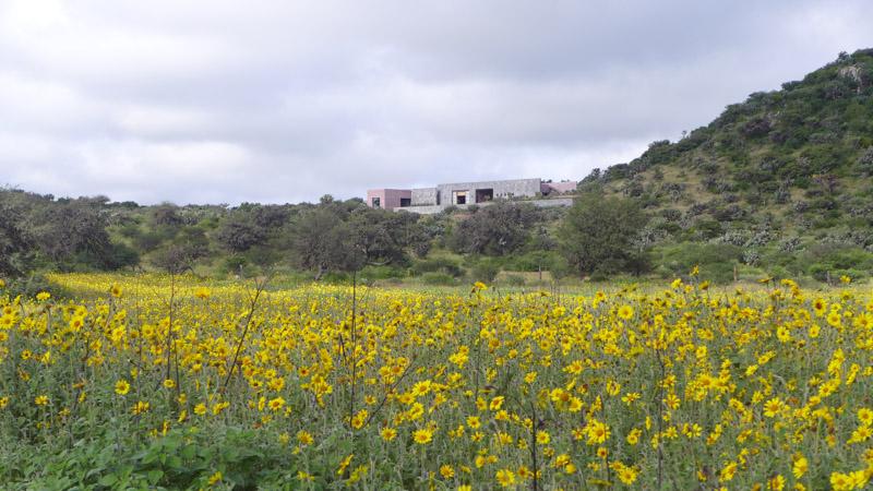 Casa Garambullos Image