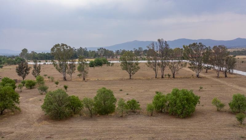 Las Fincas Lot 14 Image