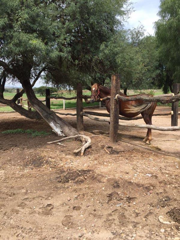Rancho Villa Bravo Image