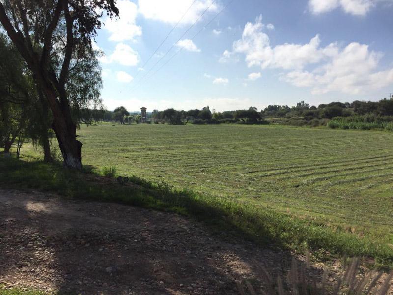 Rancho Villa Bravo Image