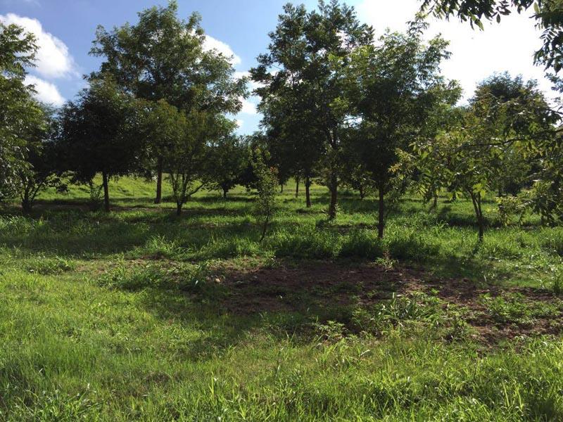 Rancho Villa Bravo Image