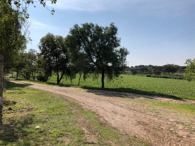 Rancho Villa Bravo Image