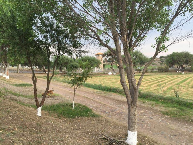 Rancho Villa Bravo Image