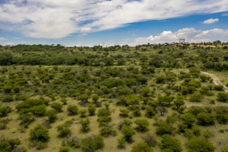 Rancho Nuevo Image