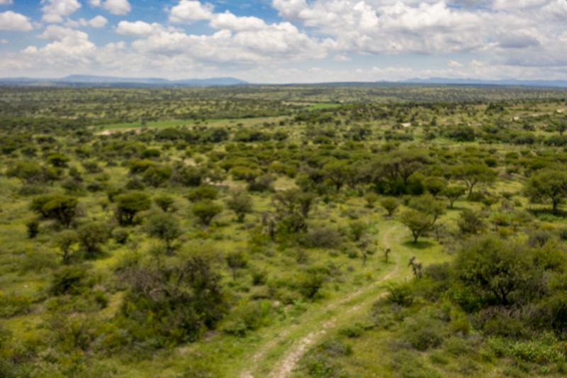 Rancho Nuevo Image