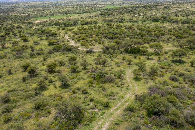 Rancho Nuevo Image