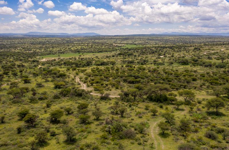 Rancho Nuevo Image