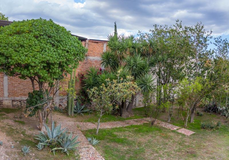 Javier Mina Lot Image