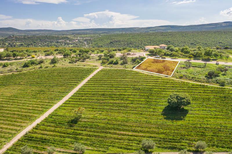 Malbec 13 Lot Image