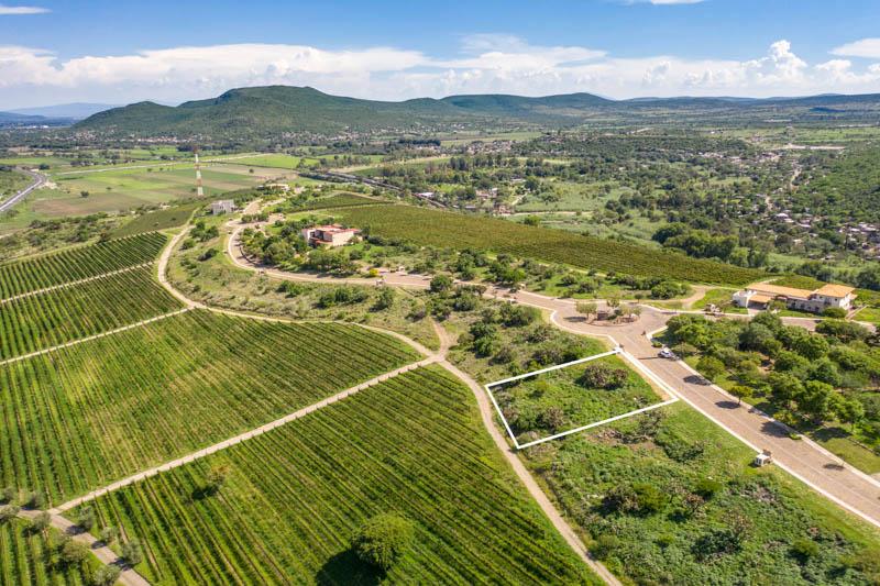 Malbec 13 Lot Image