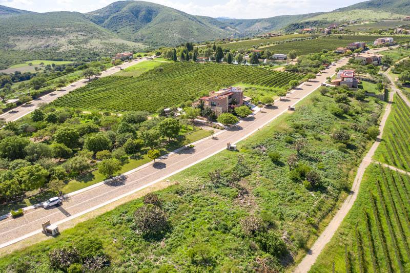 Malbec 13 Lot Image