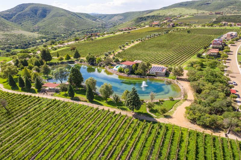 Malbec 13 Lot Image