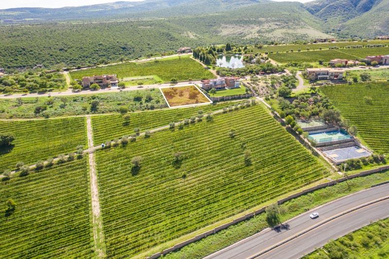 Malbec 3 Lot Image