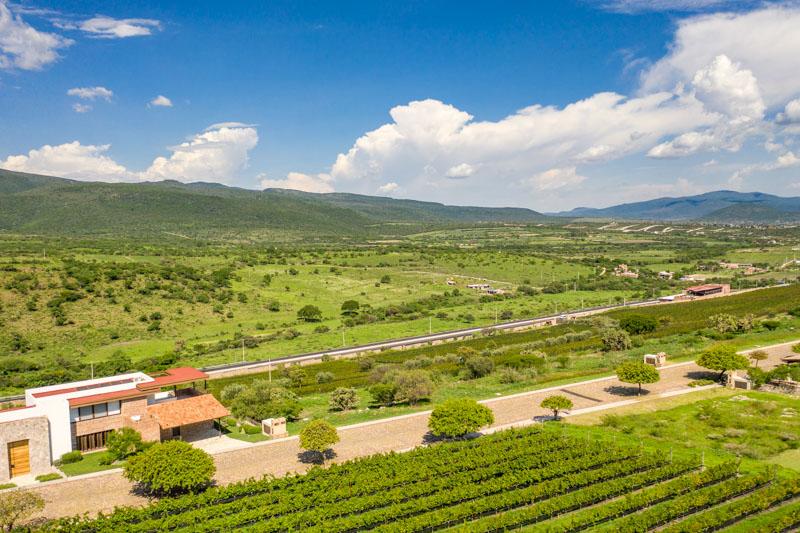 Malbec 3 Lot Image