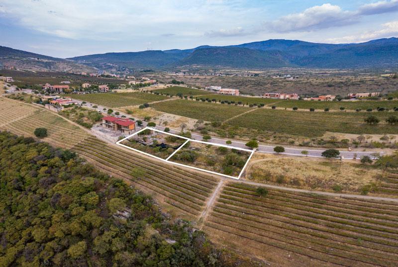 Merlot Lot 16 Image