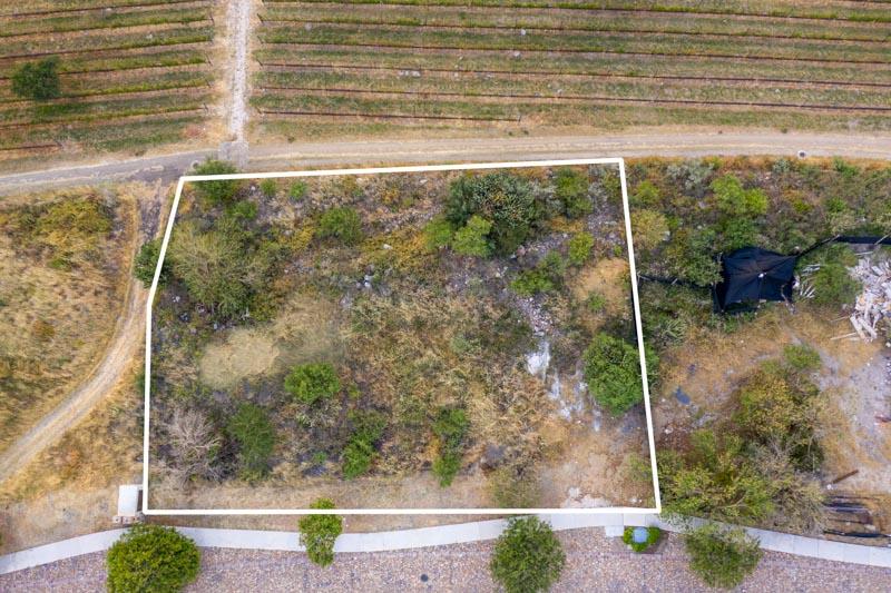 Merlot Lot 18 Image