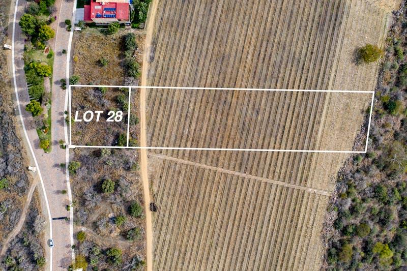 Malbec Lot 28 Image