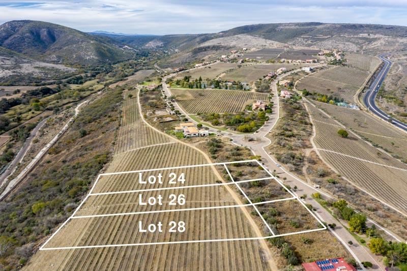 Malbec Lot 26 Image