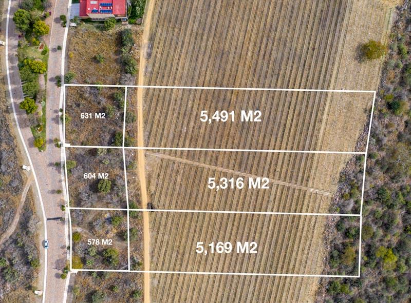 Malbec Lot 28 Image