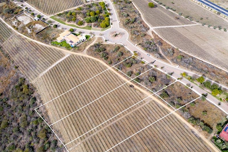 Malbec Lot 28 Image