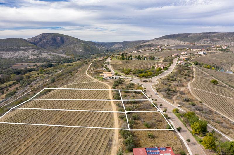 Malbec Lot 28 Image
