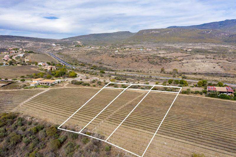 Malbec Lot 26 Image
