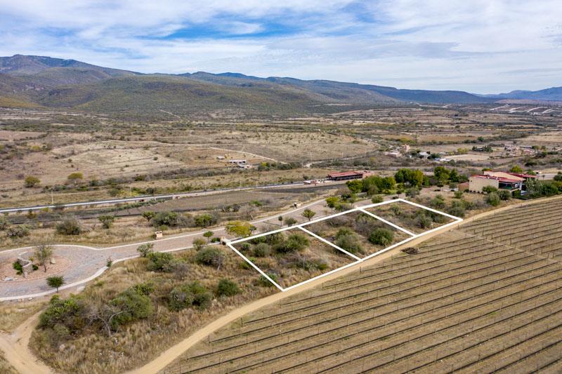 Malbec Lot 26 Image