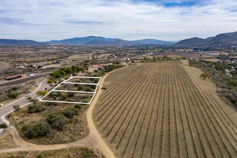 Malbec Lot 28 Image