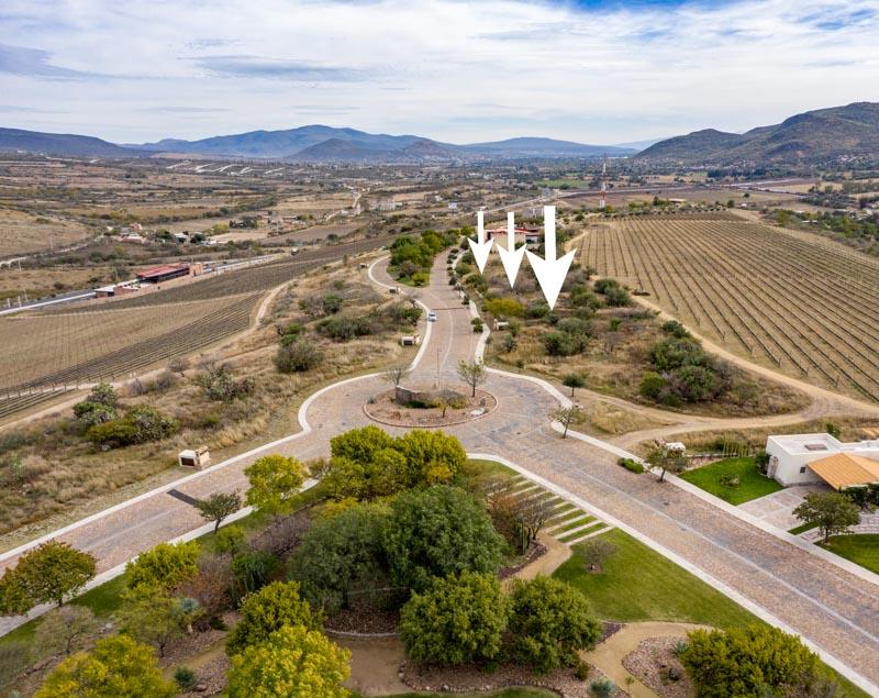 Malbec Lot 26 Image