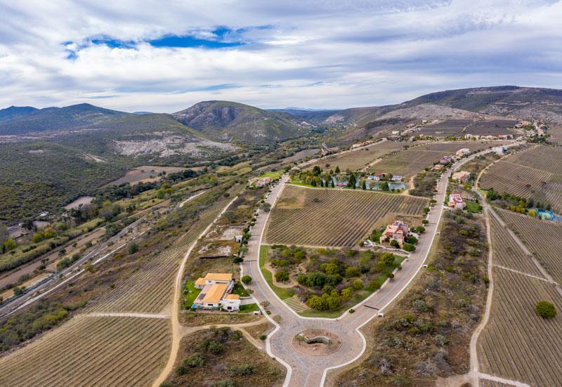 Malbec Lot 26 Image