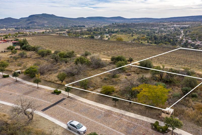 Malbec Lot 24 Image