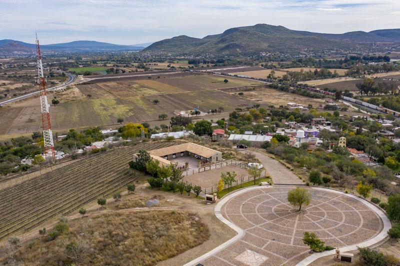 Malbec Lot 28 Image