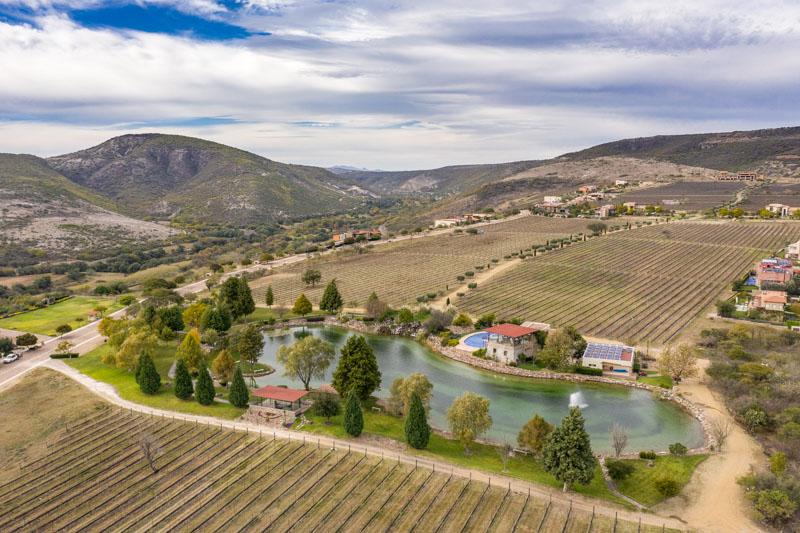 Malbec Lot 26 Image