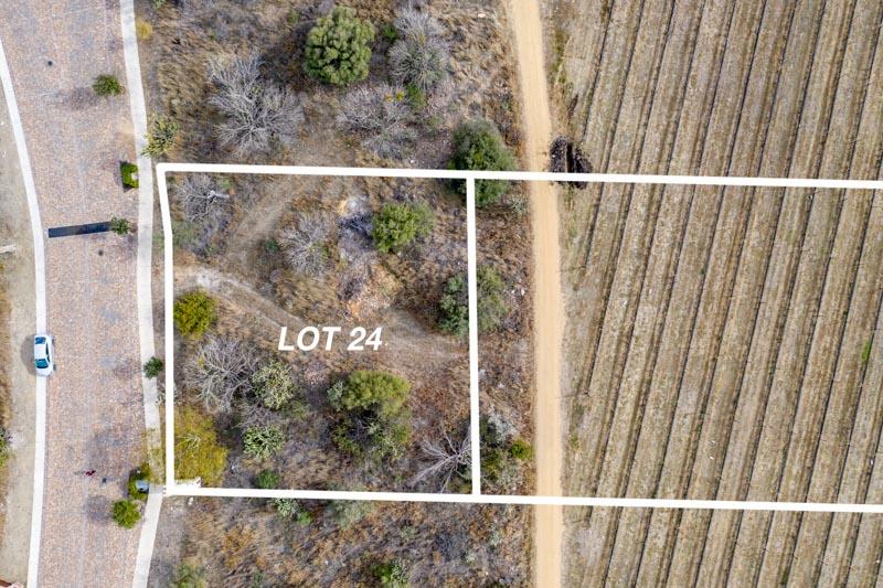 Malbec Lot 24 Image