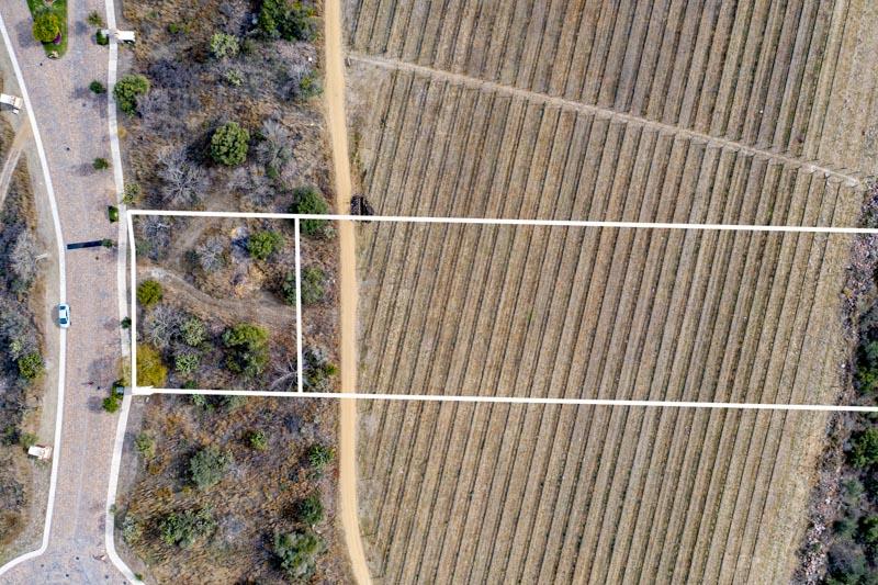Malbec Lot 24 Image