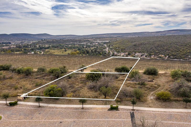 Malbec Lot 26 Image
