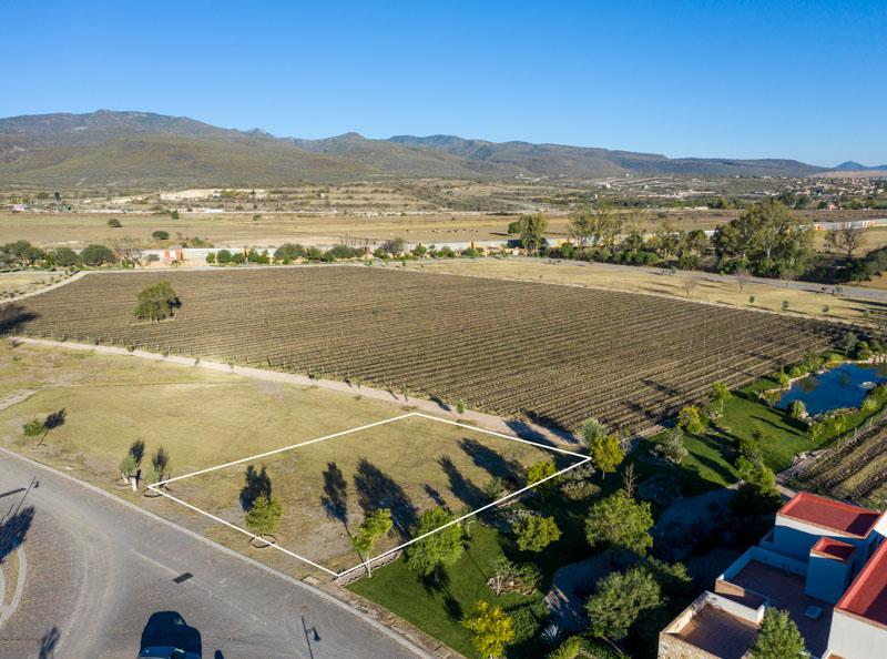Vineyards, Lot 9 Image