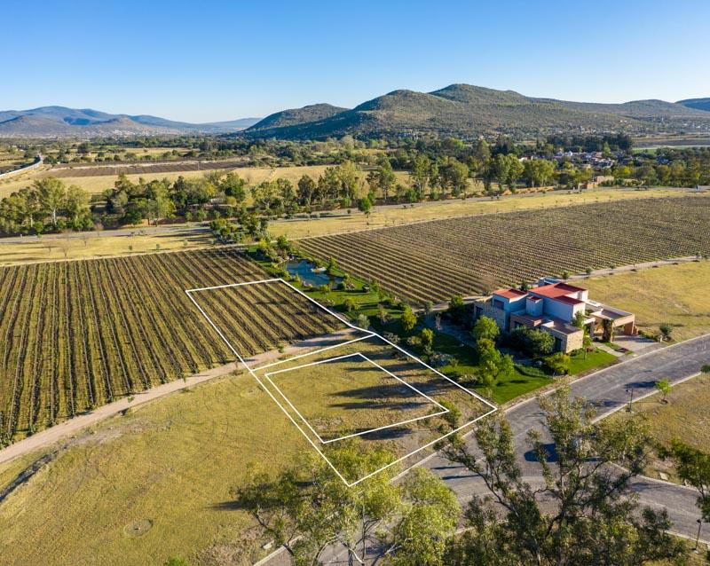 Vineyards, Lot 9 Image
